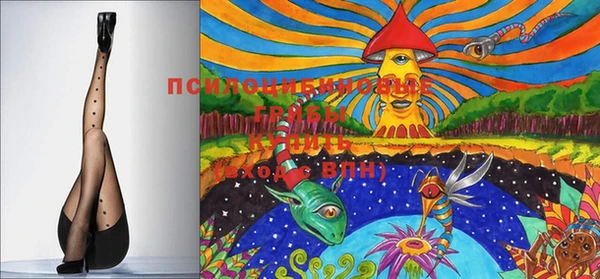 спиды Строитель