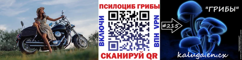 где продают наркотики  Кыштым  Псилоцибиновые грибы мицелий 